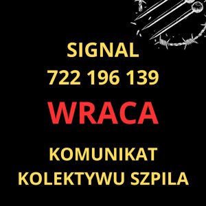 uwaga – szpilowy signal wraca!...