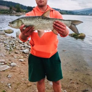 Zaginął
Kamil Kaczmarski, lat 28
#Jelenia_Góra #policja_Jelenia_Góra #dolnośląsk...