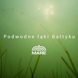 Organizacja Narodów Zjednoczonych ustanowiła dzień 1 marca Światowym Dniem Trawy Morskiej #WorldSeag...