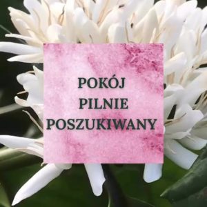 szukamy pokoju dla naszego kolegi z jemenu (32 lata), który