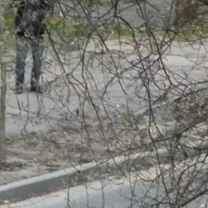 Całe życie w starym Żiguli
 
70-letni mieszkaniec obwodu donieckiego już drugi r...