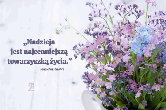 Informujemy, że zakończyły się poszukiwania 23-letniego Pana Mateusza K. z Częst...