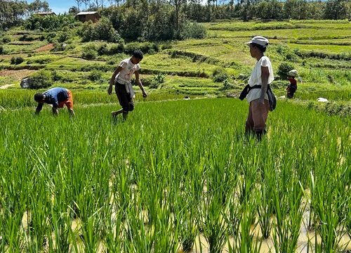 Ostatnia wioska ze szklaku MISJONERY2⃣0⃣2⃣6⃣ na Madagaskarze to Ikoraba. Miejscowo...