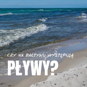 Kiedy myślimy o przypływach i odpływach, przed oczami mamy raczej oceaniczne wybrzeża niż plażę nad ...