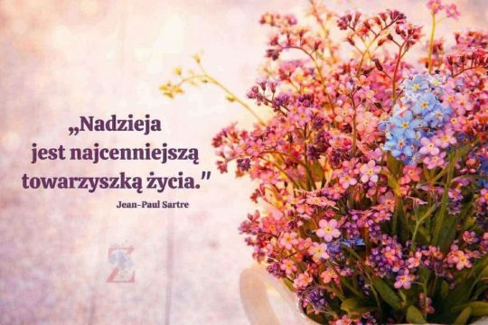 Policja w Myślenicach zakończyła poszukiwania 17-letniej Natalii P. 
Nastolatka ...