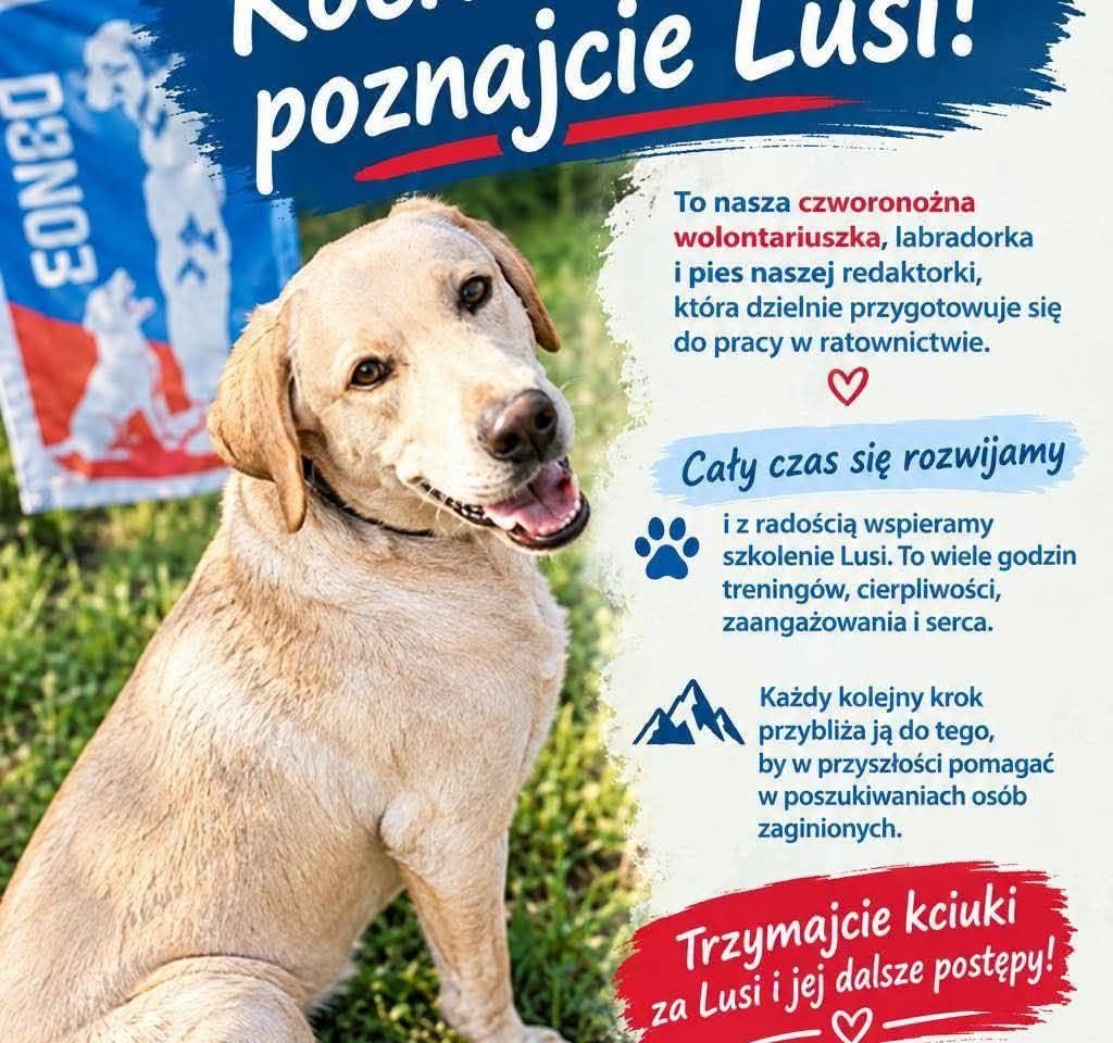 Kochani, poznajcie Lusi!

To nasza czworonożna wolontariuszka, labradorka i pie…