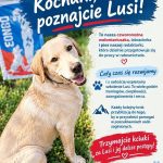 Kochani, poznajcie Lusi!

To nasza czworonożna wolontariuszka, labradorka i pie...