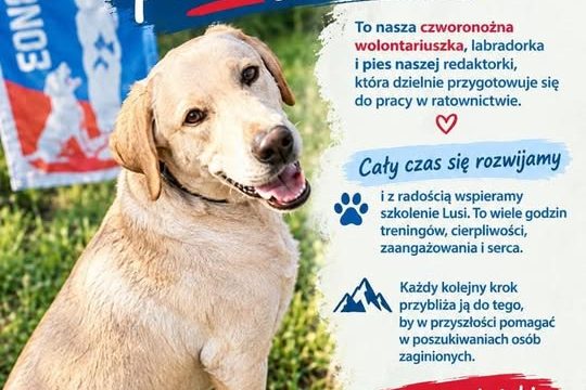 ZAGINIENI CAŁA POLSKA