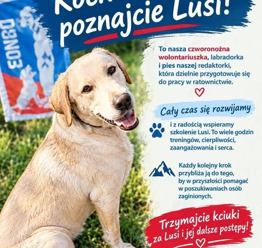 ZAGINIENI CAŁA POLSKA