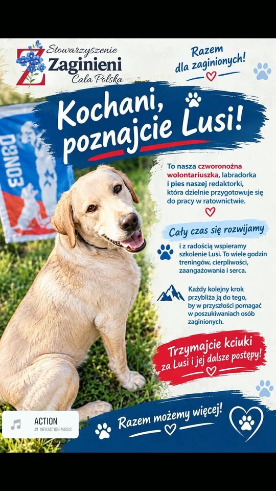 ZAGINIENI CAŁA POLSKA